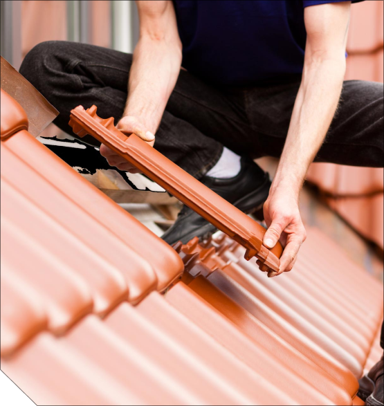 roof shingles replacement to prevent future damage
